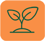 ic-career-growth ic-career-growth